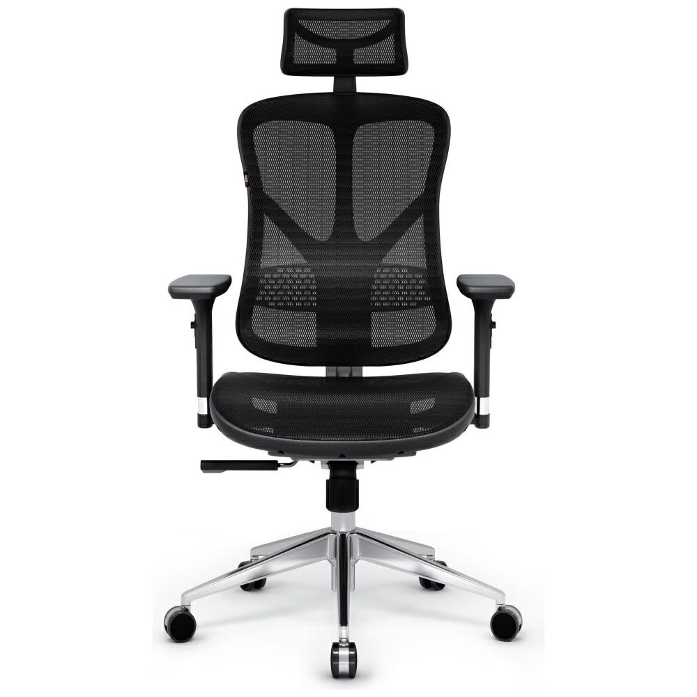 Diablo Chairs Ergonomic V-Basic black chair