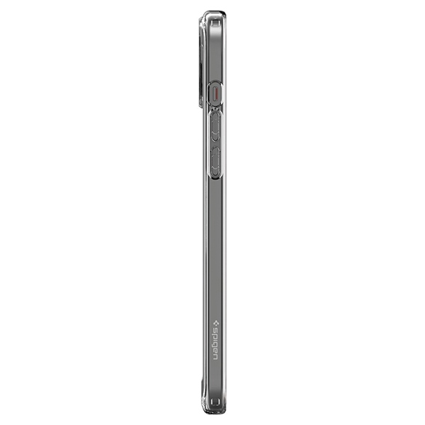 Spi002651_4b.jpg